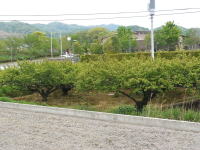 썂~E~̔_ʐ^03