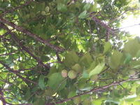 썂~E~̔_ʐ^06