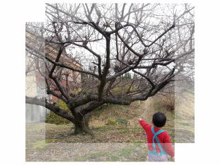 썂~E~̔_ʐ^01